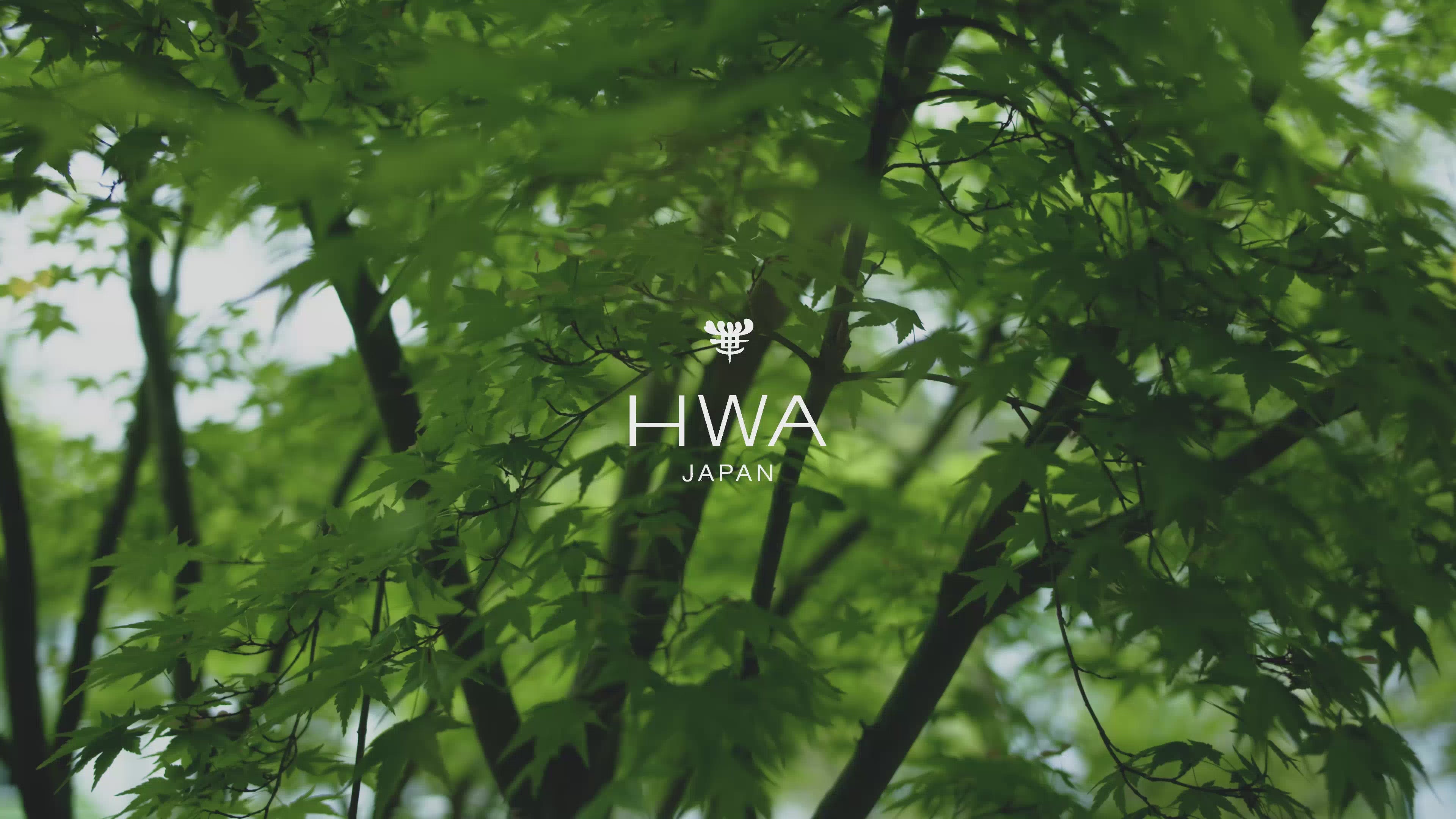 加载视频：HWA JAPAN